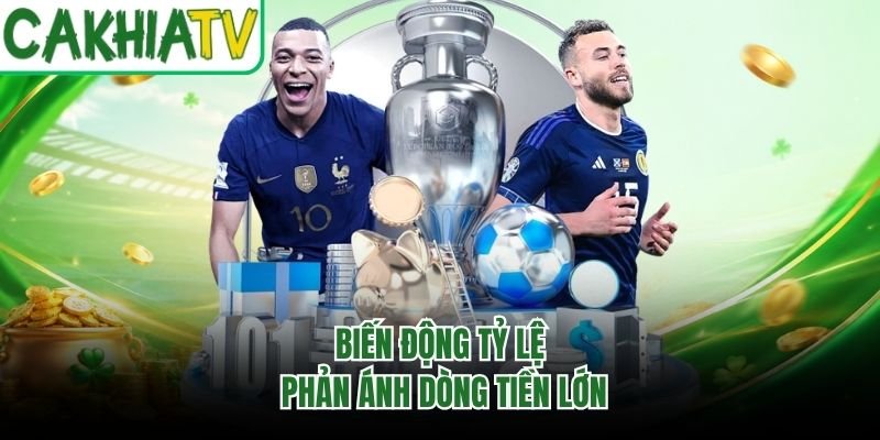 Biến động tỷ lệ phản ánh dòng tiền lớn