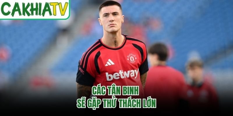 Các tân binh sẽ gặp thử thách lớn