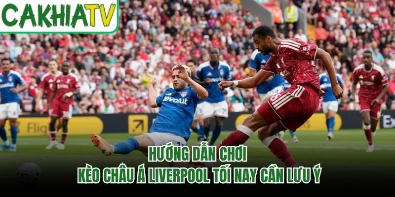 Hướng Dẫn Chơi Kèo Châu Á Liverpool Tối Nay Cần Lưu Ý
