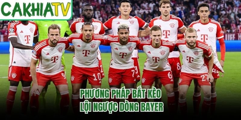 Phương pháp bắt kèo lội ngược dòng Bayer