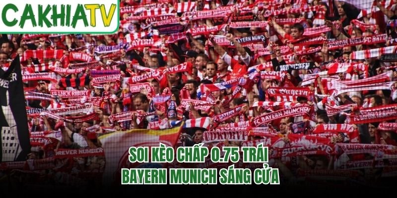 Soi kèo chấp 0.75 trái Bayern Munich sáng cửa